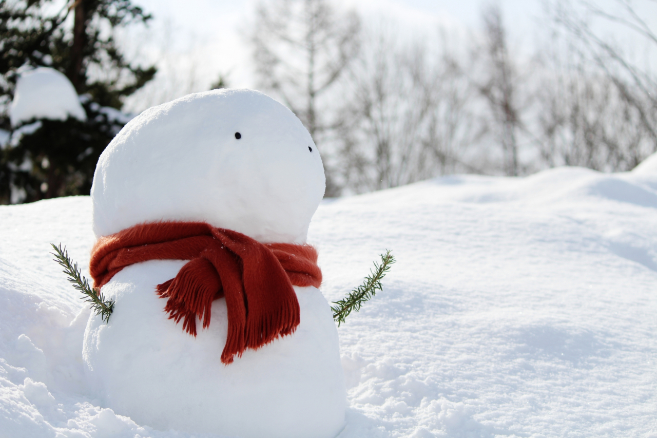 雪国あるある
